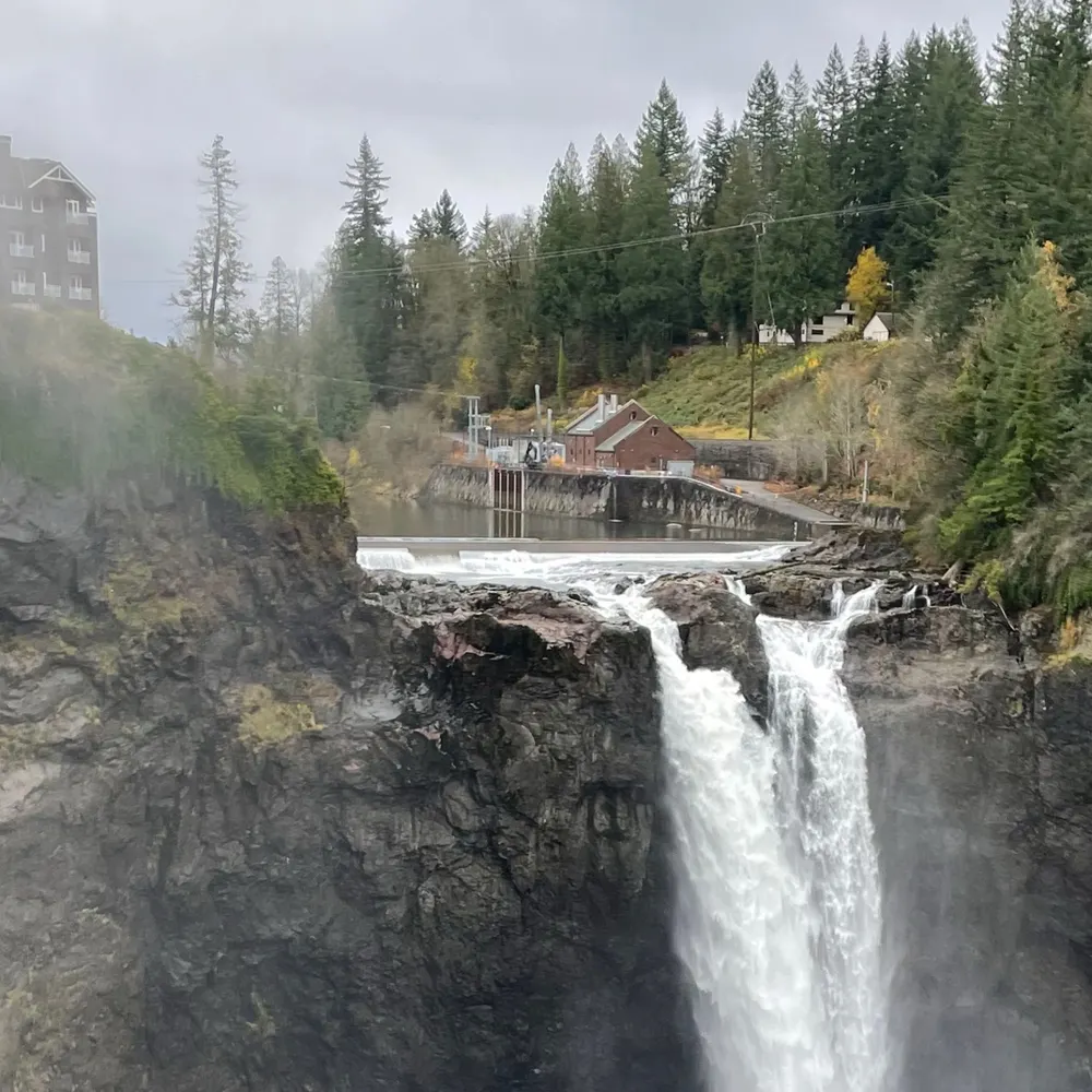 bocuma.online's profile picture