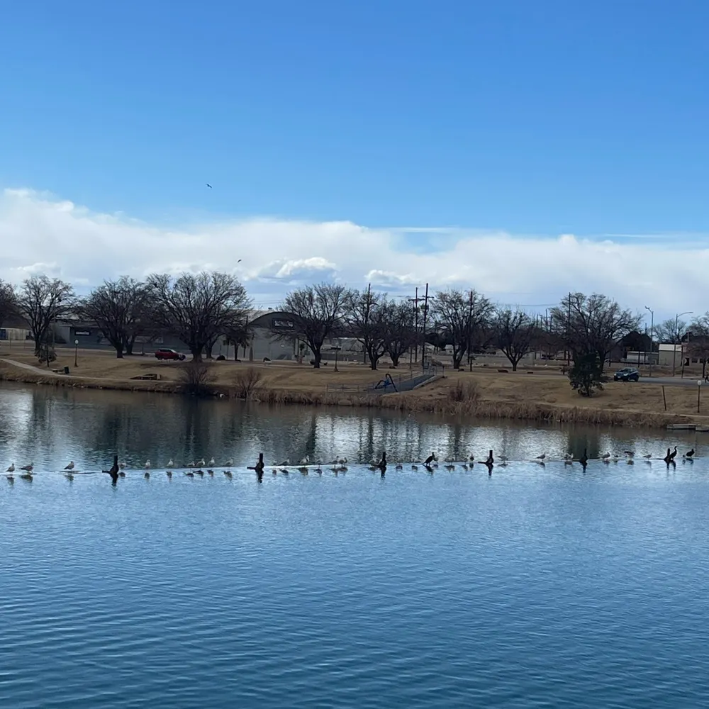 quizical.bsky.social's profile picture