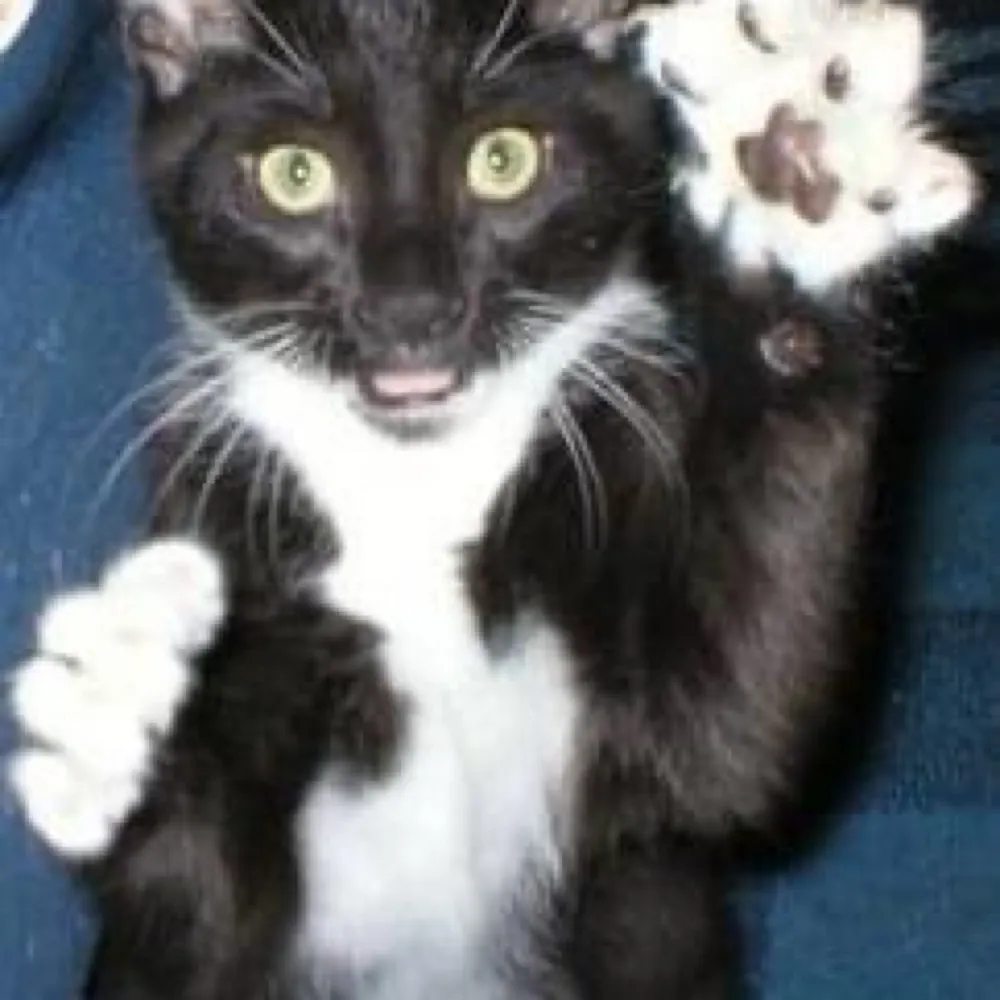 jbrownblue.bsky.social's profile picture