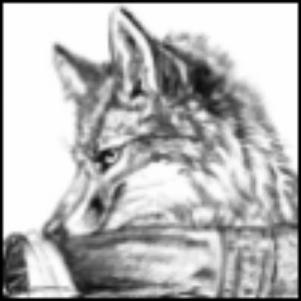 stevefoxx.bsky.social's profile picture