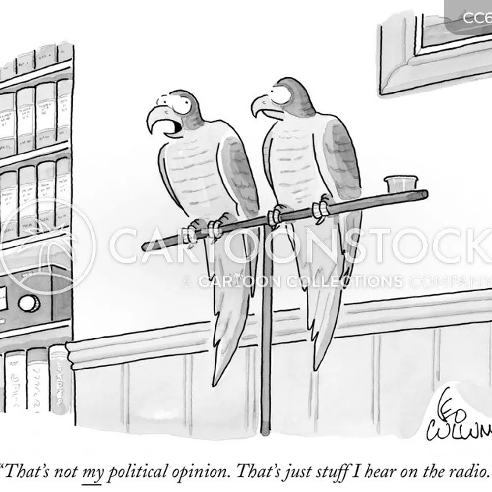 theseouldan.bsky.social's profile picture