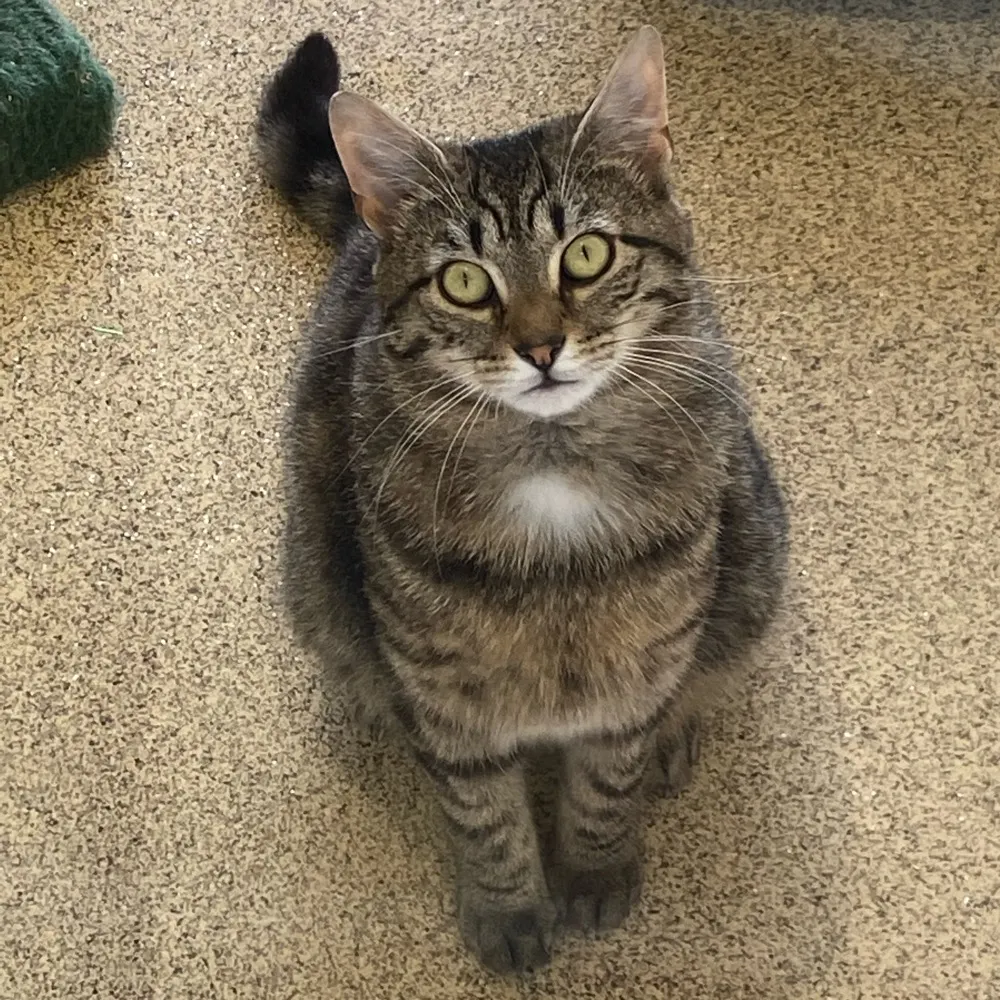 gfoster251.bsky.social's profile picture