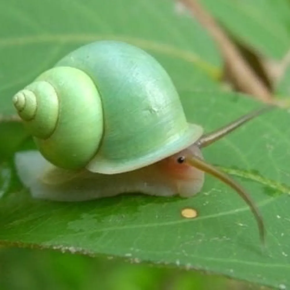 oddballaudrey.bsky.social's profile picture