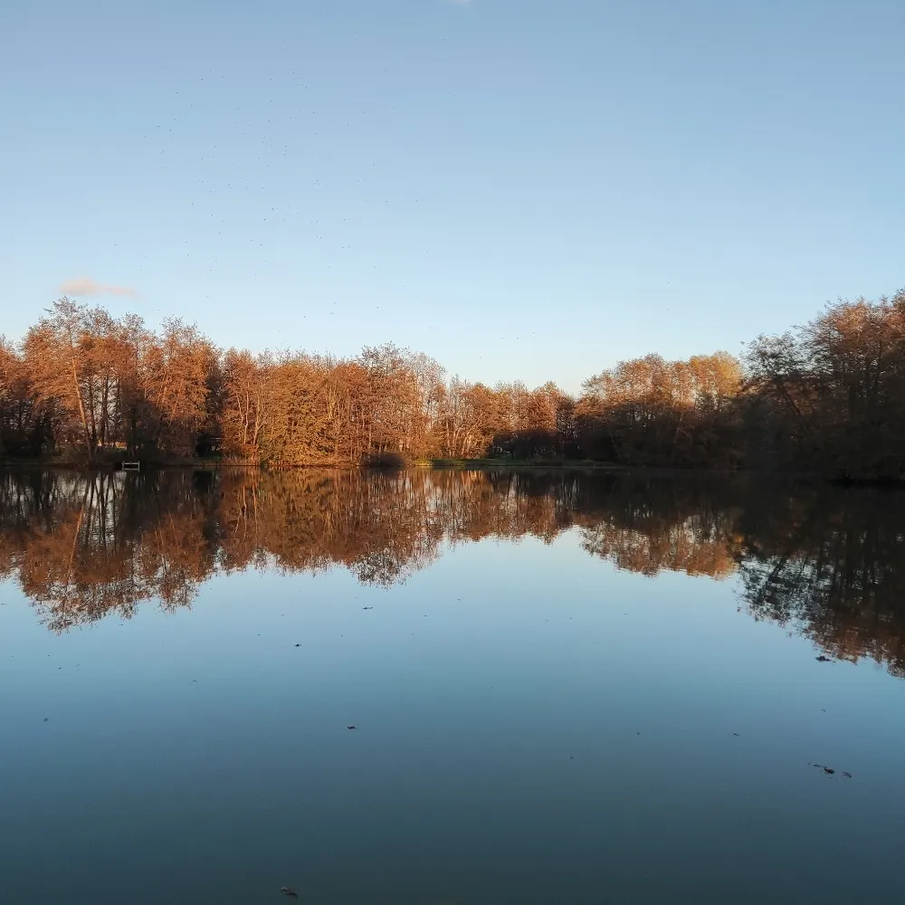 mayaflo.bsky.social's profile picture