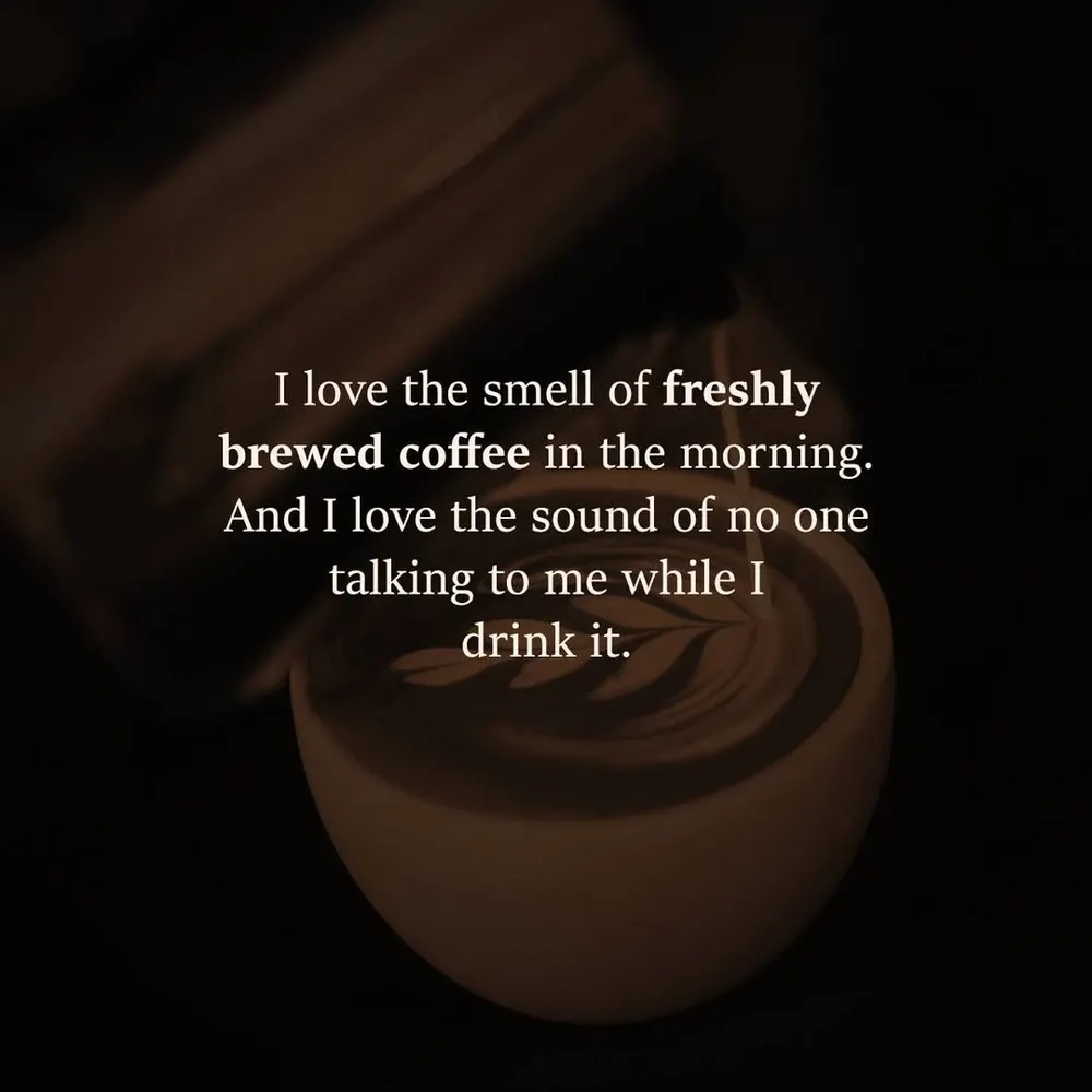 favoriteauntlauren.bsky.social's profile picture