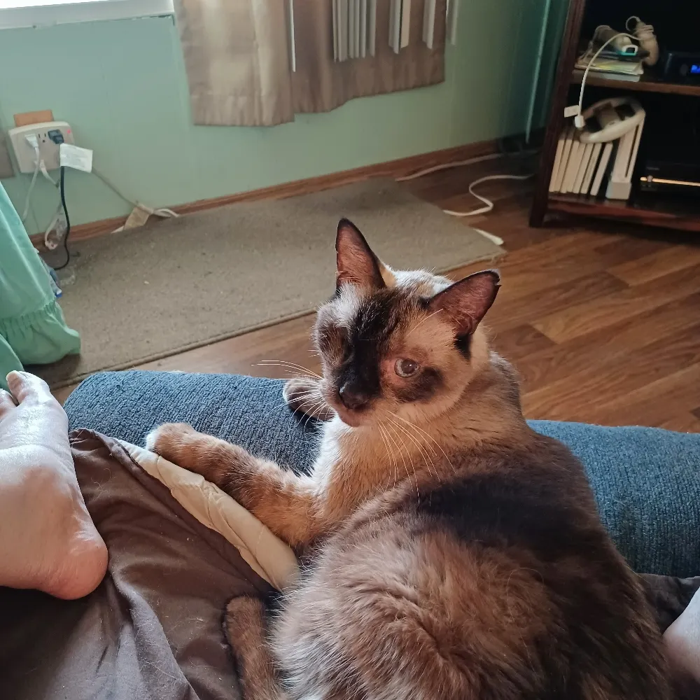 chrismontrose.bsky.social's profile picture