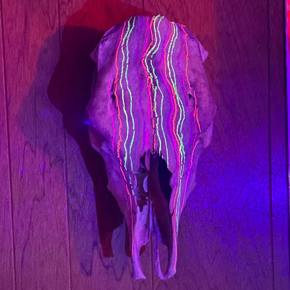 sifu.tweety.fish's profile picture