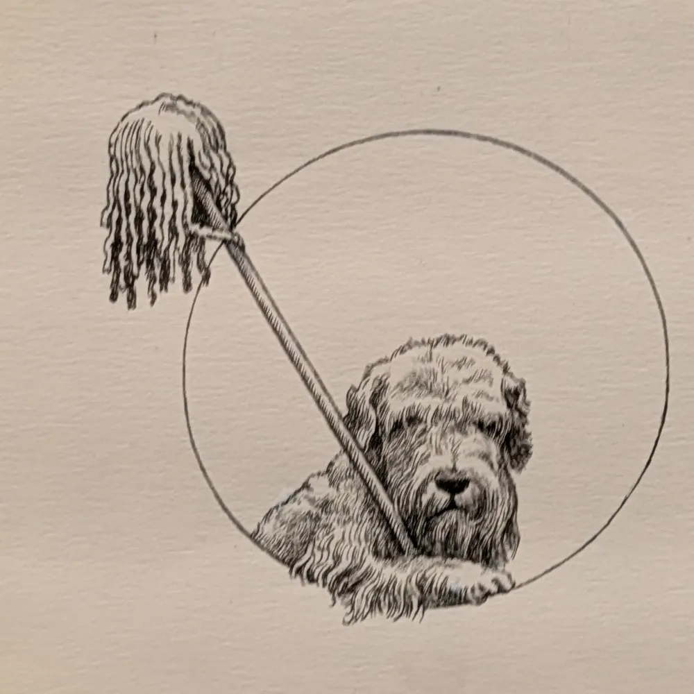 allsanewomen.bsky.social's profile picture