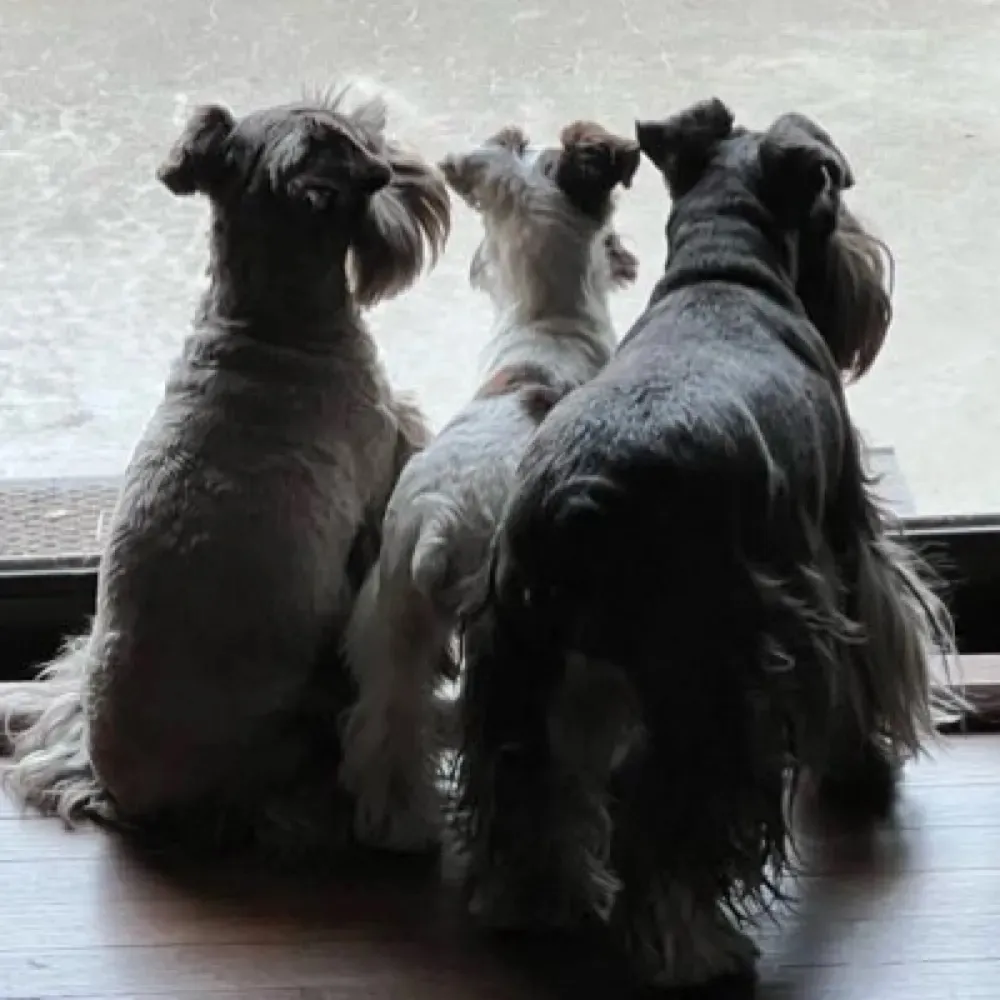 orangesoylent.bsky.social's profile picture