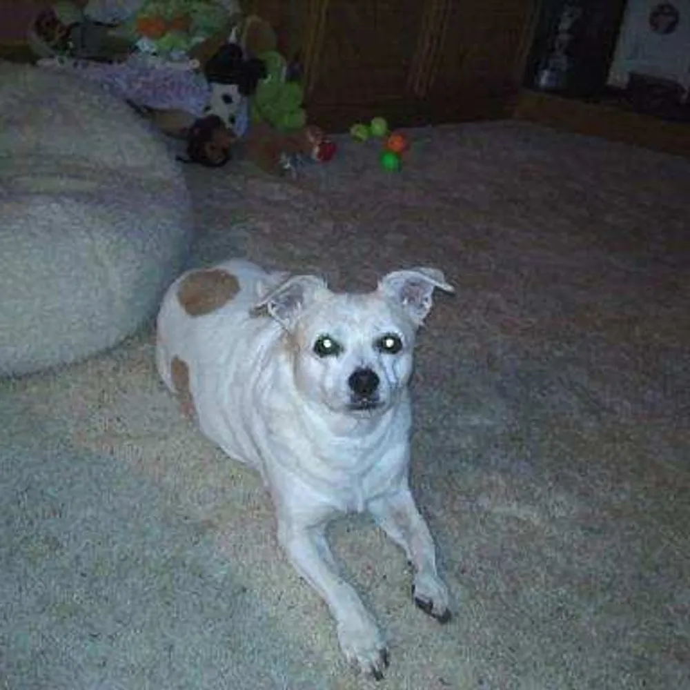 fletchermagee.bsky.social's profile picture