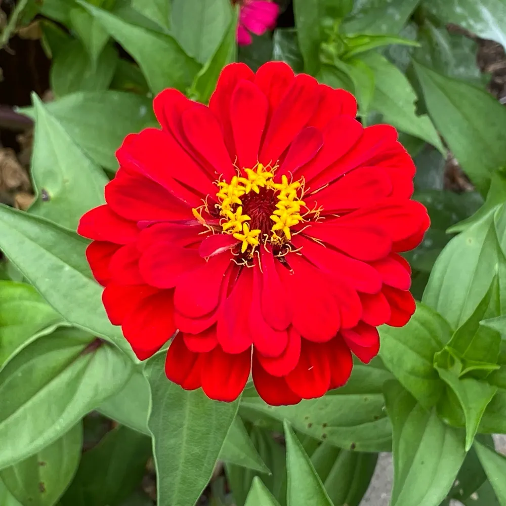 smithkdum.bsky.social's profile picture