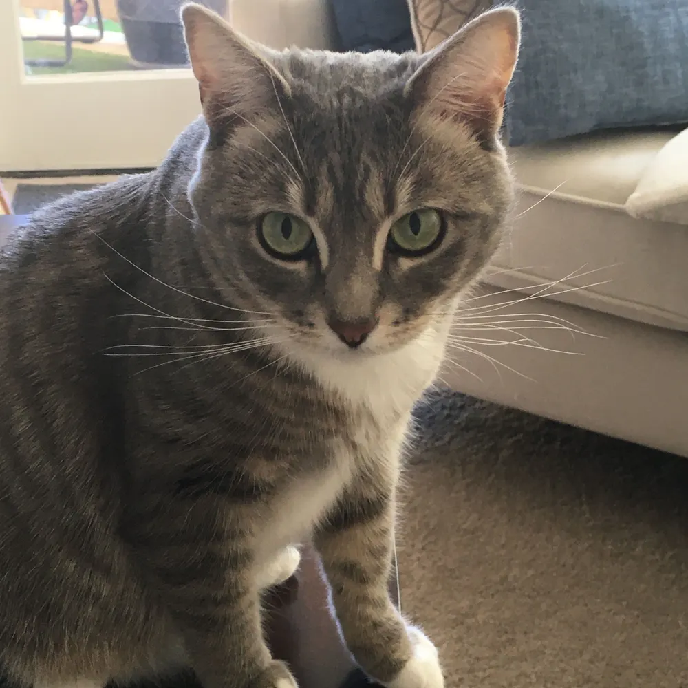 notgoingback2028.bsky.social's profile picture