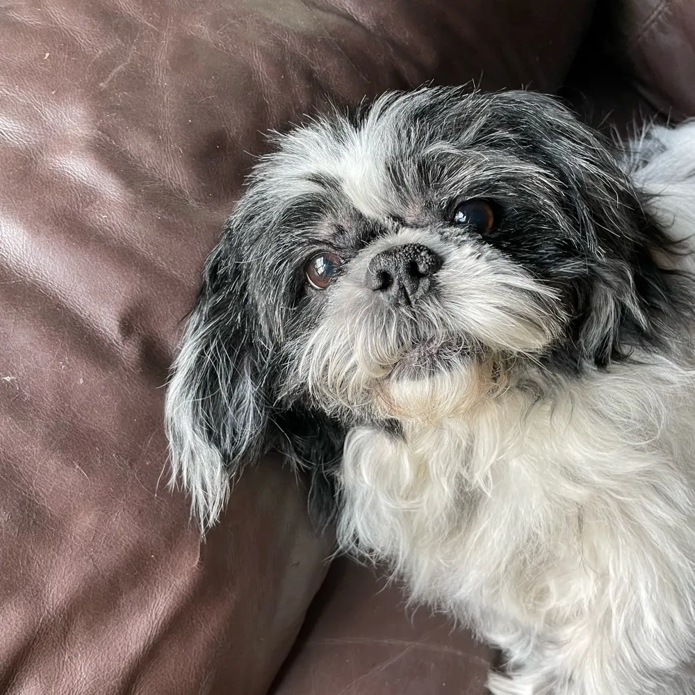 valcort2.bsky.social's profile picture