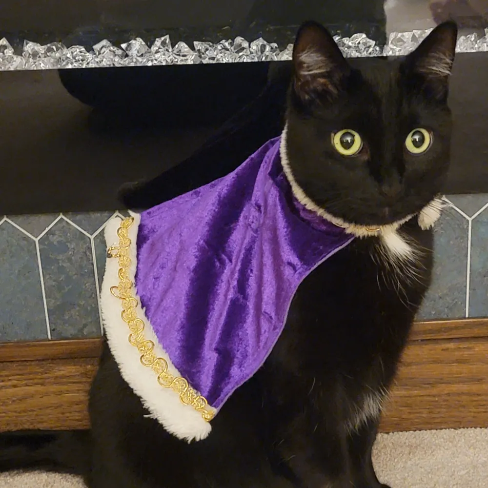 lordowenivan.bsky.social's profile picture