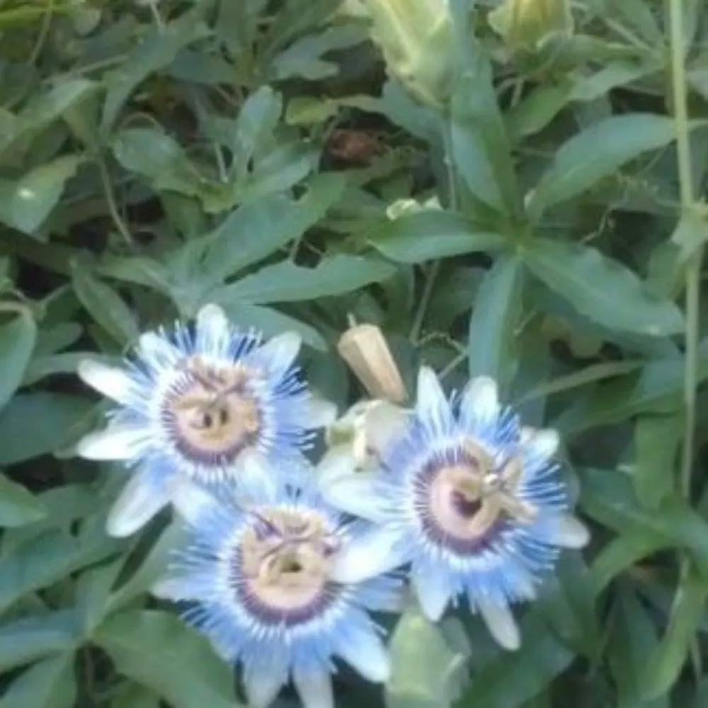 kathmarval.bsky.social's profile picture