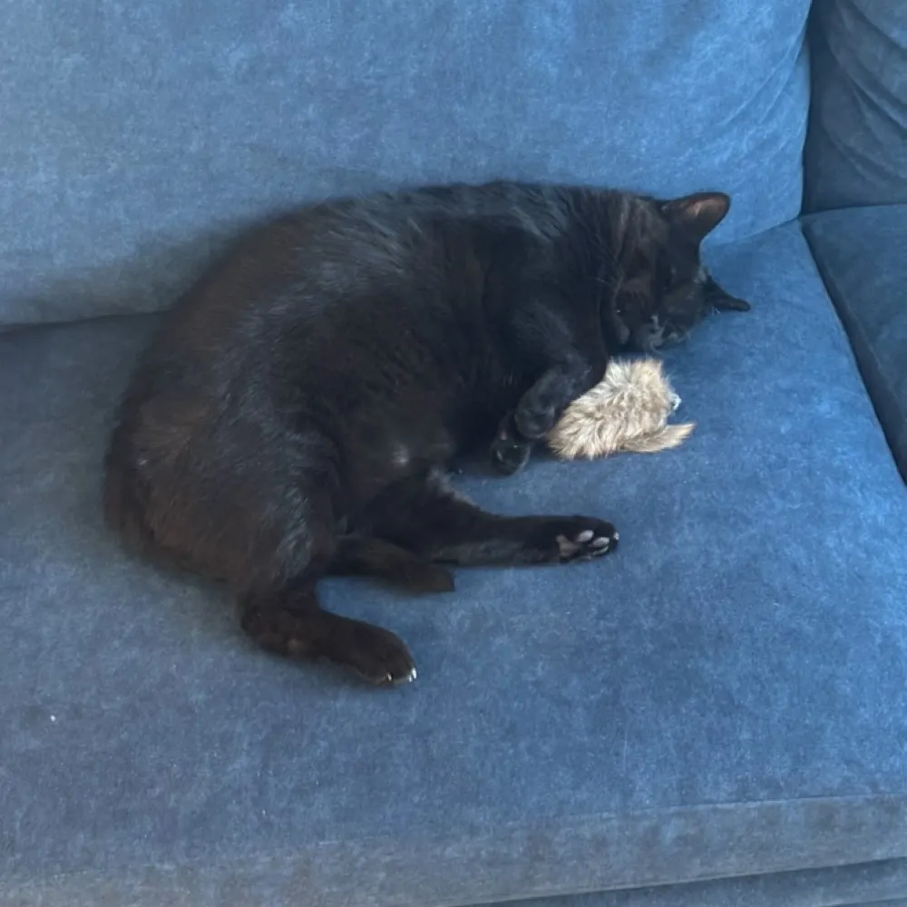 sjoyner1965.bsky.social's profile picture