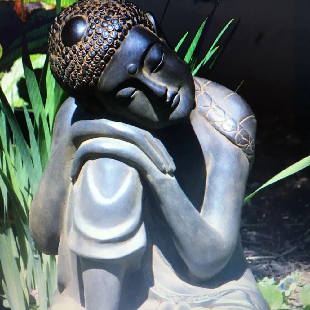 authormsbev.bsky.social's profile picture