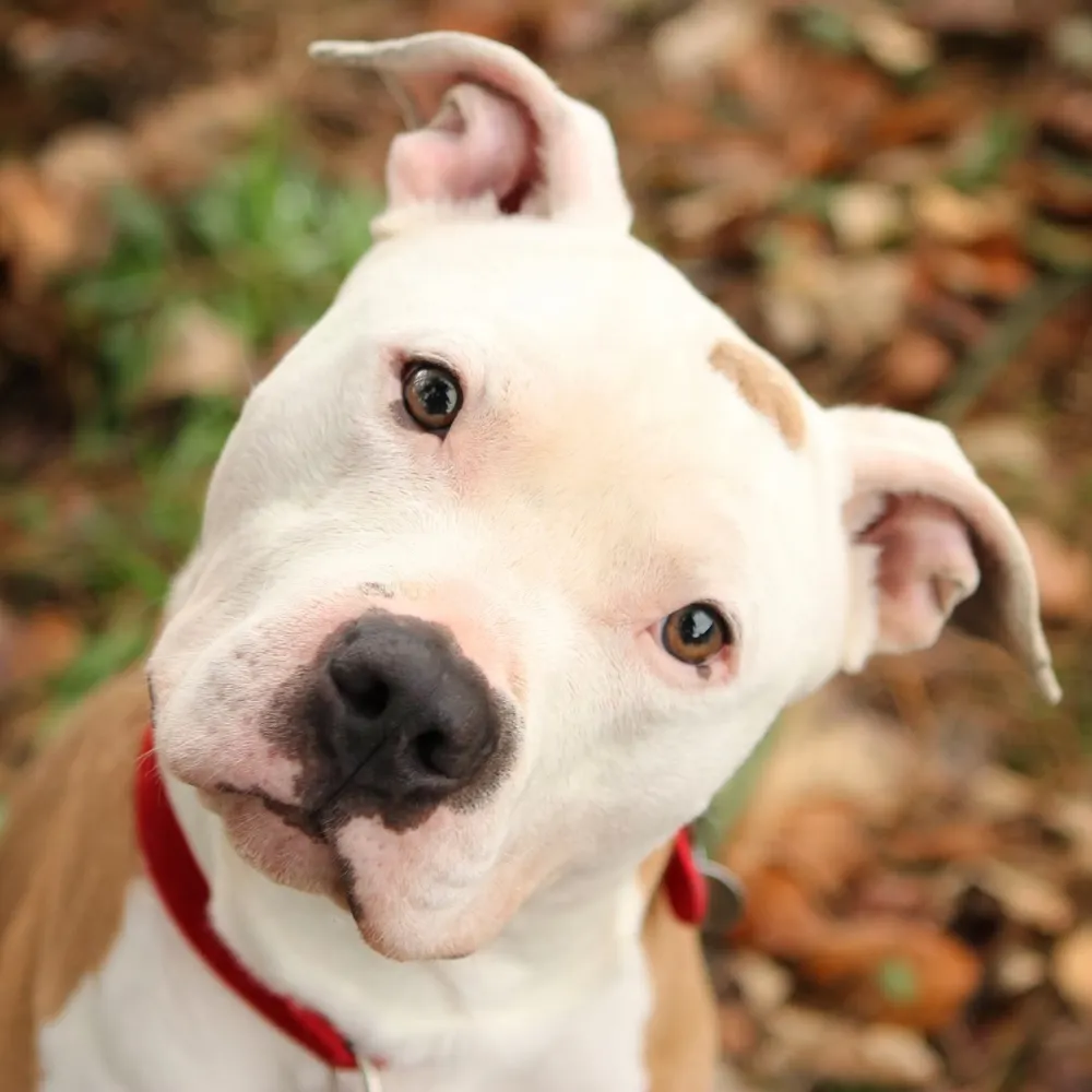 spike02134.bsky.social's profile picture