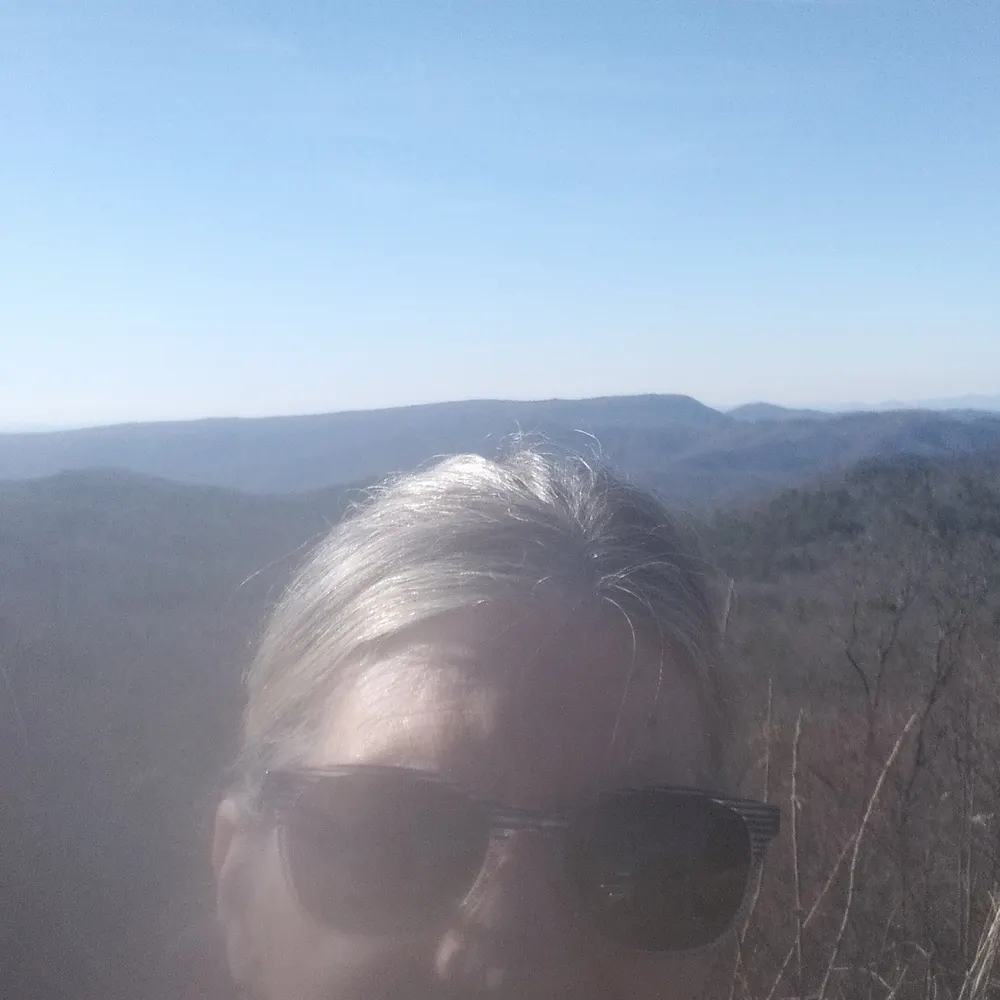 gayeallyn.bsky.social's profile picture