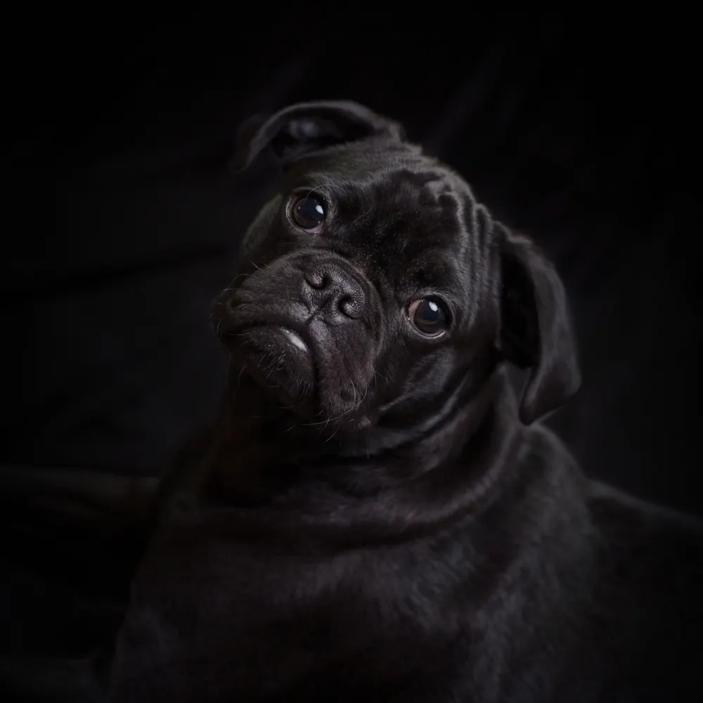 204queenb0574.bsky.social's profile picture