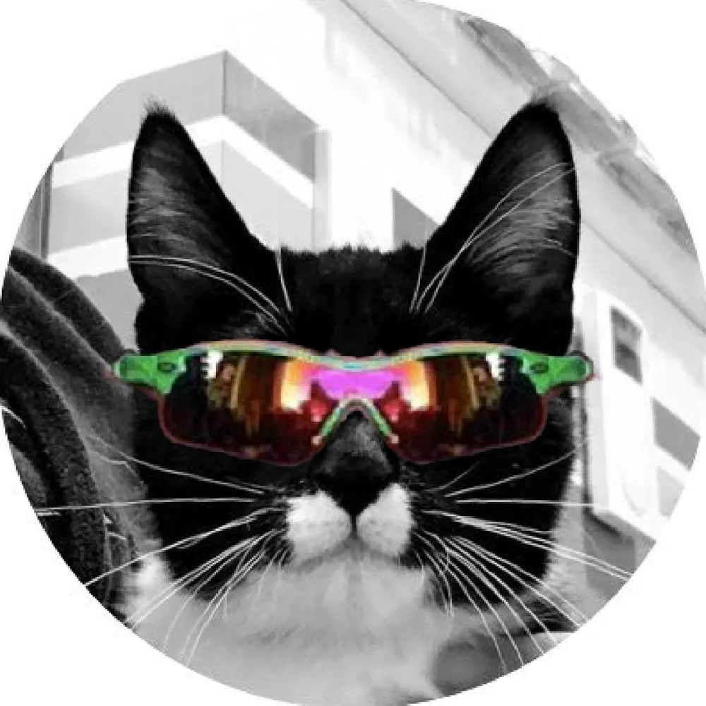friendlykitties.bsky.social's profile picture