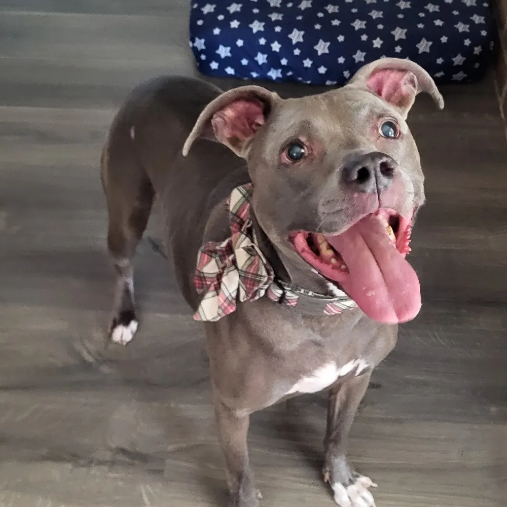 debarg316.bsky.social's profile picture