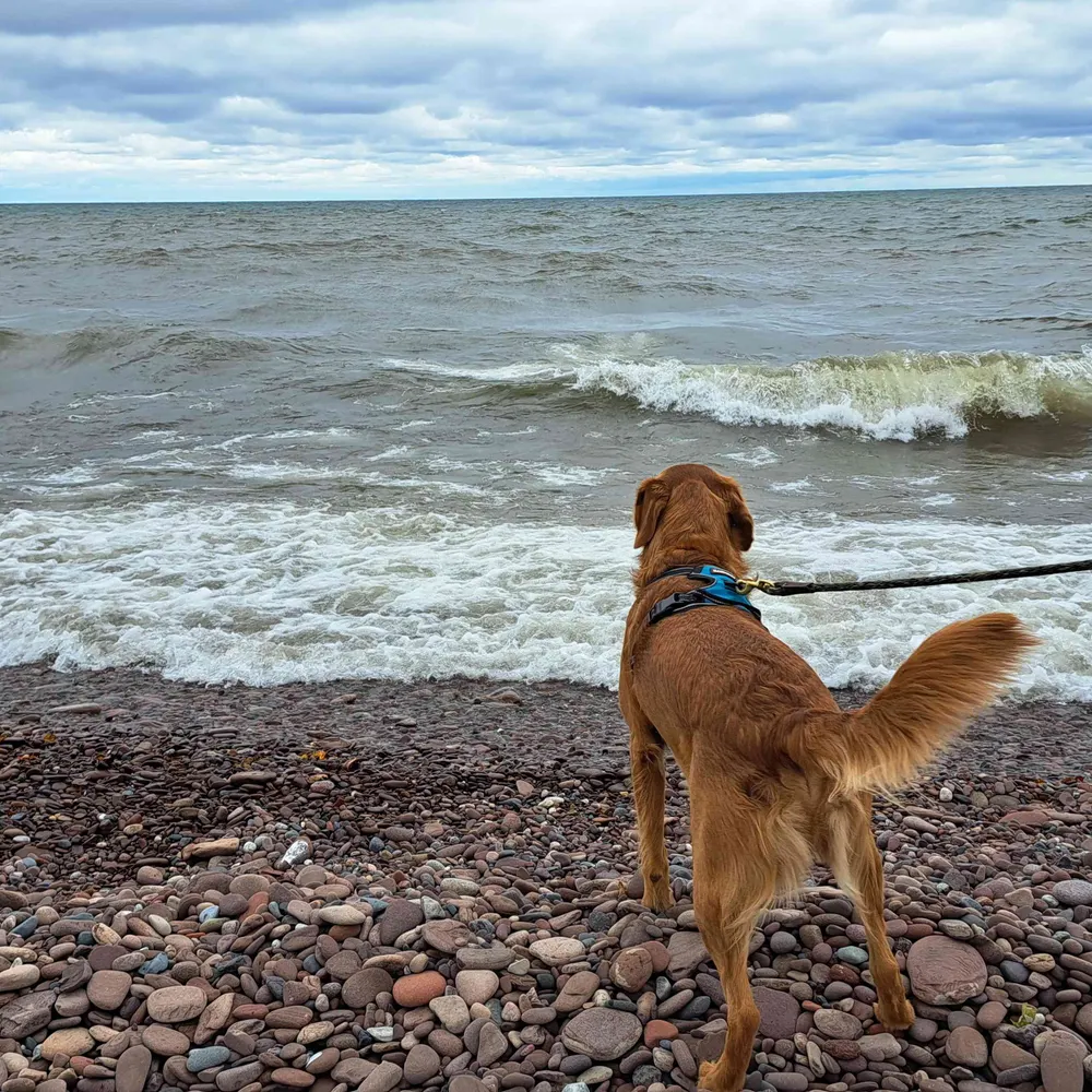 vickclicked.bsky.social's profile picture