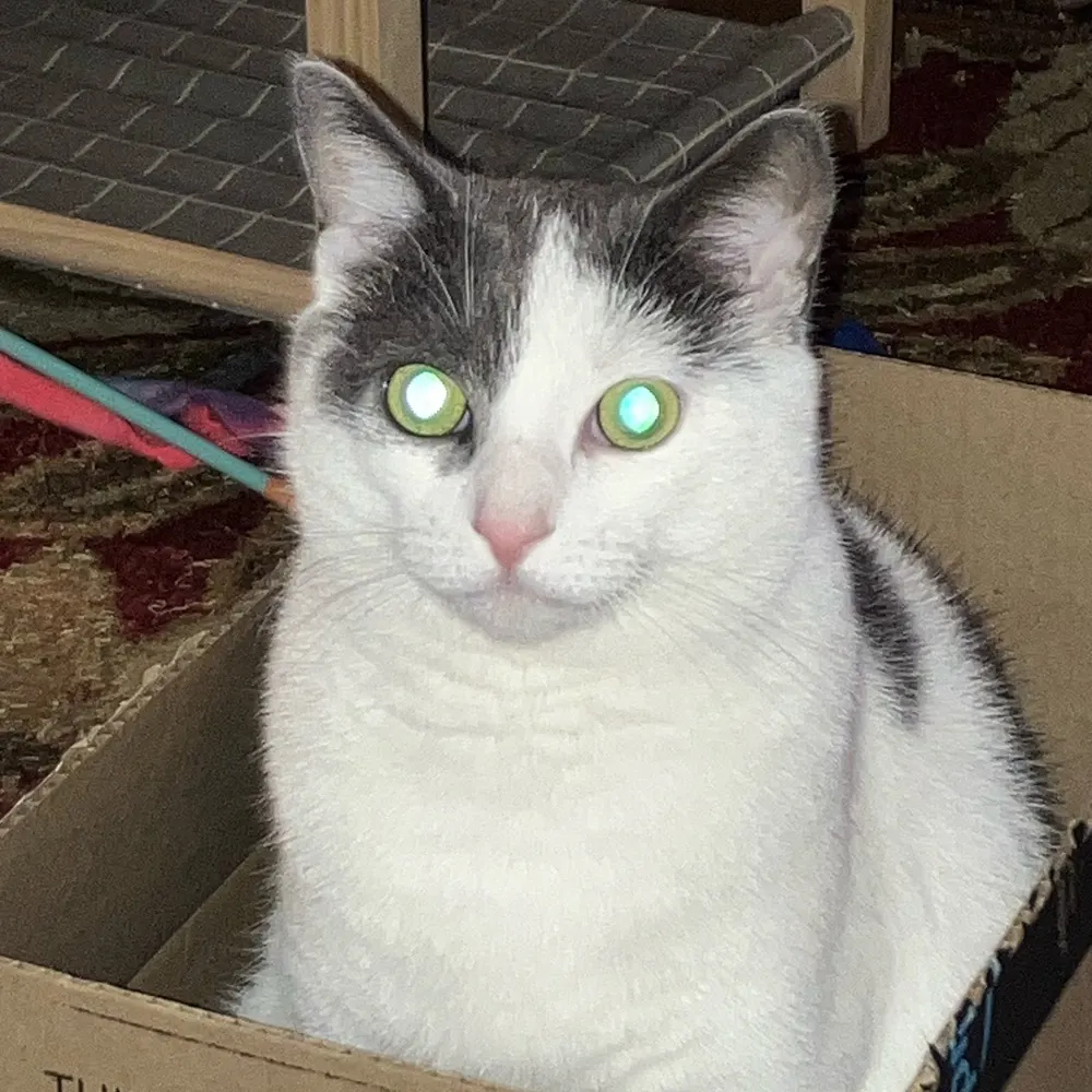 colbionekanobi.bsky.social's profile picture