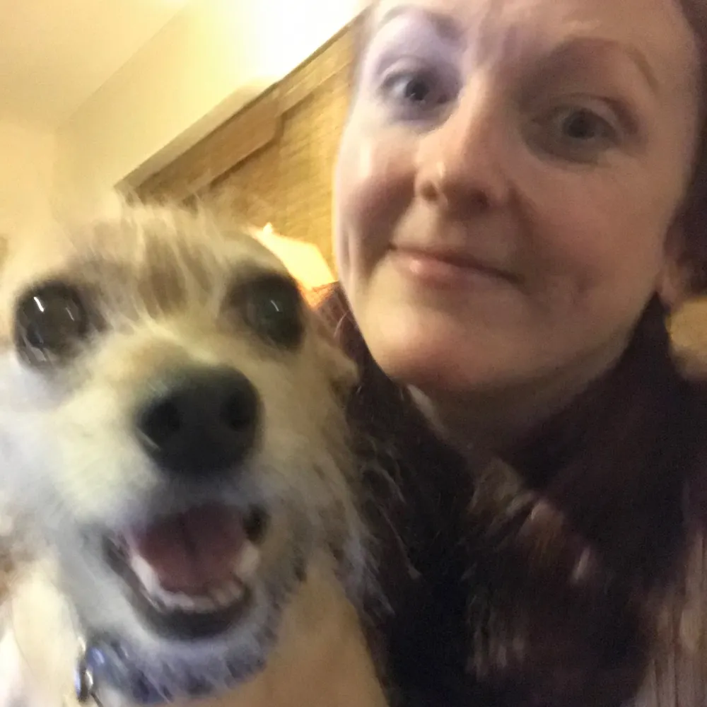 omgponiez.bsky.social's profile picture