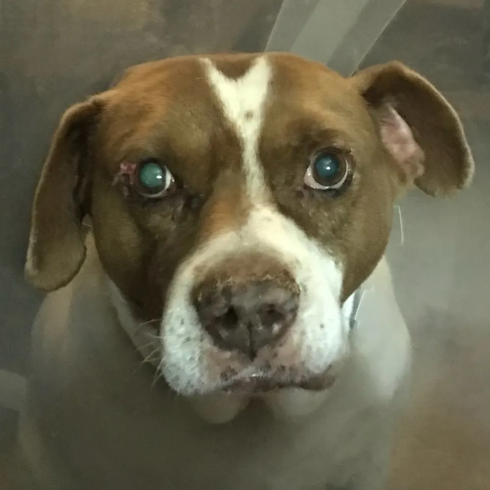 katphxaz.bsky.social's profile picture