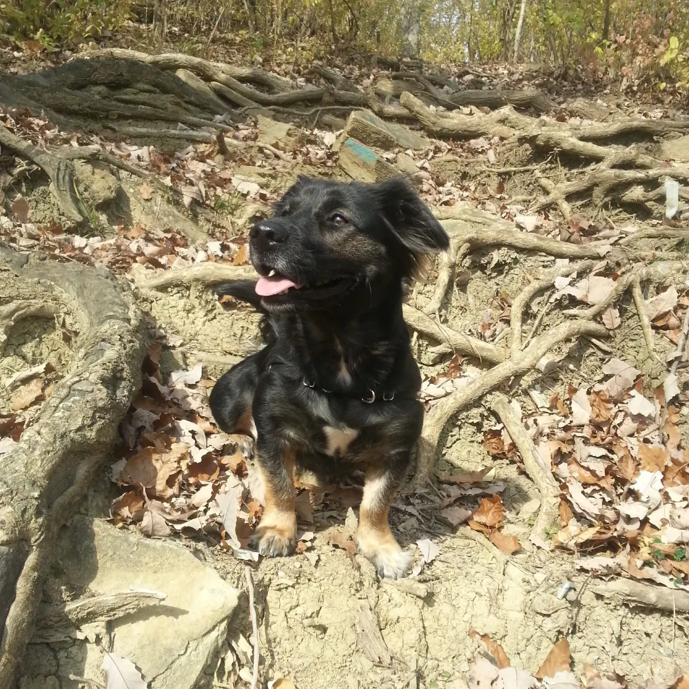 jerrytimber.bsky.social's profile picture