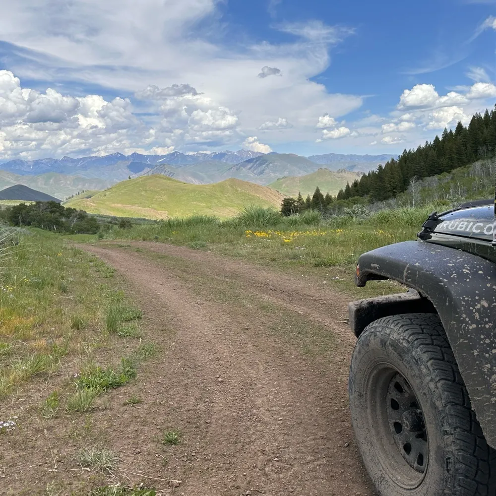 vote4.bsky.social's profile picture