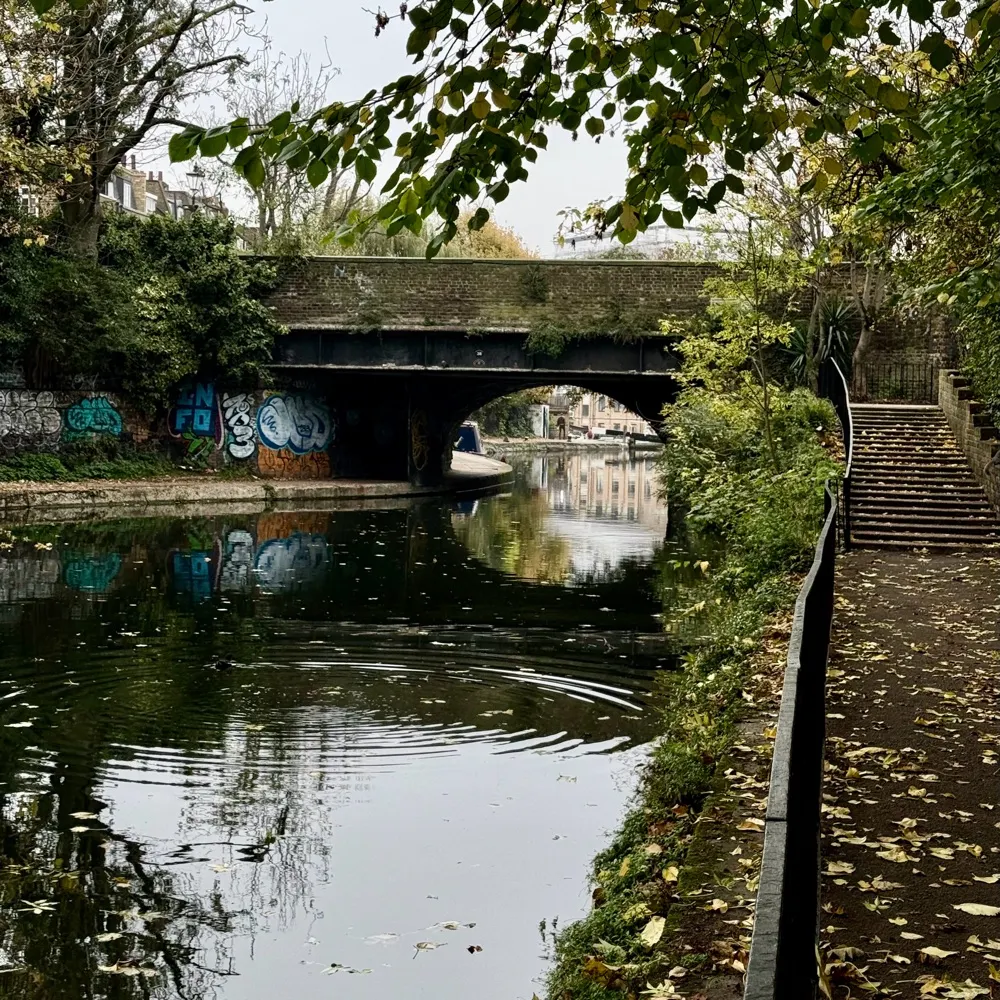 jotre.bsky.social's profile picture