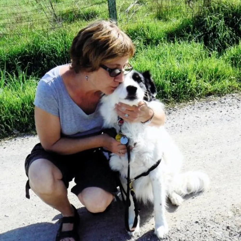 susersuzanner.bsky.social's profile picture