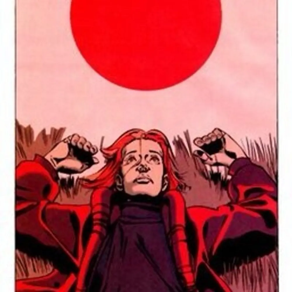 peacedanish.bsky.social's profile picture