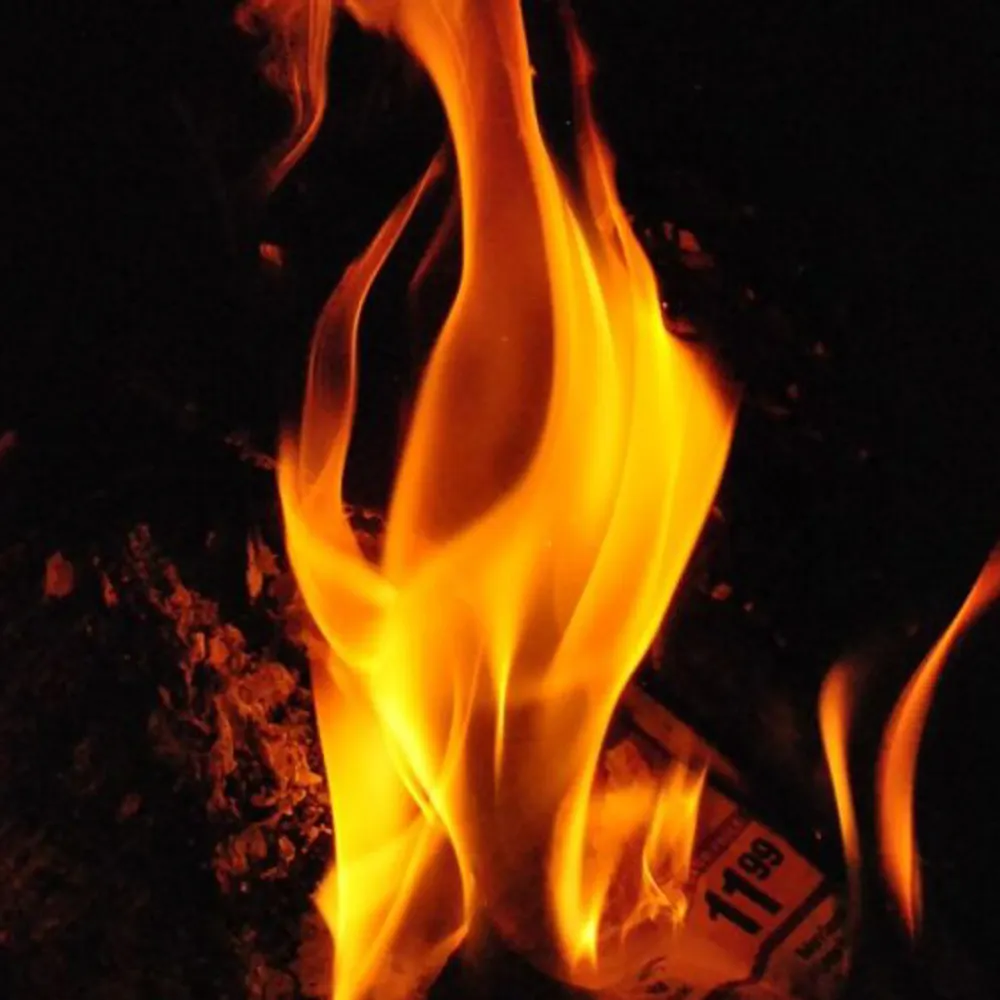 stateside.bsky.social's profile picture