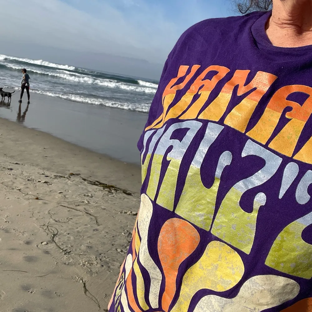 sturdycat.bsky.social's profile picture