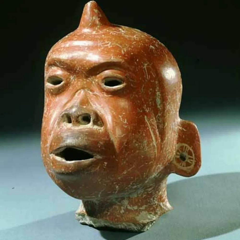 desiderratum.bsky.social's profile picture