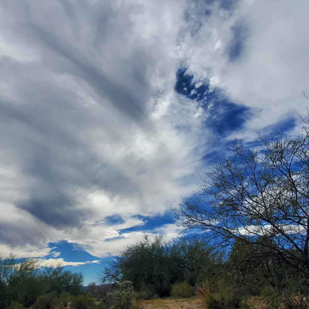 penehuro.bsky.social's profile picture