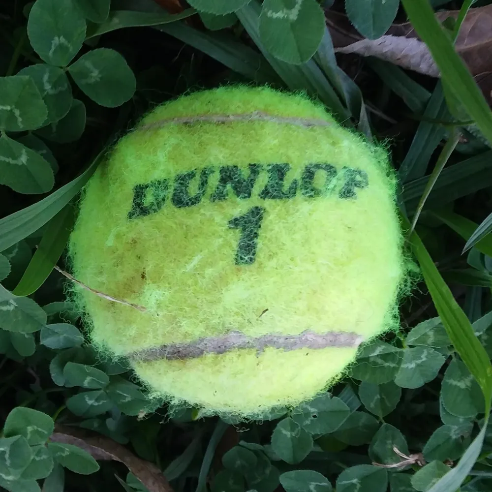 fuzzyd666.bsky.social's profile picture