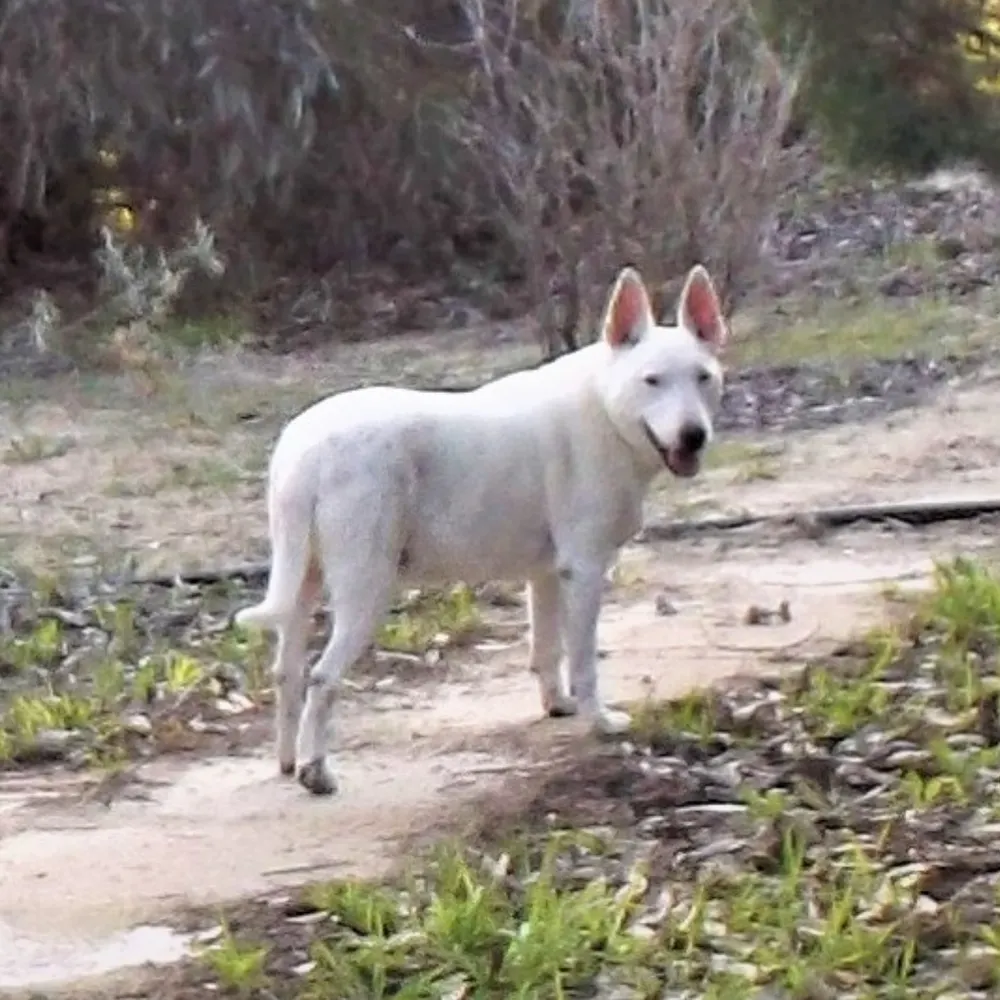 charlse.bsky.social's profile picture