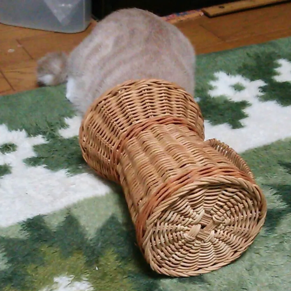 stepwith.bsky.social's profile picture