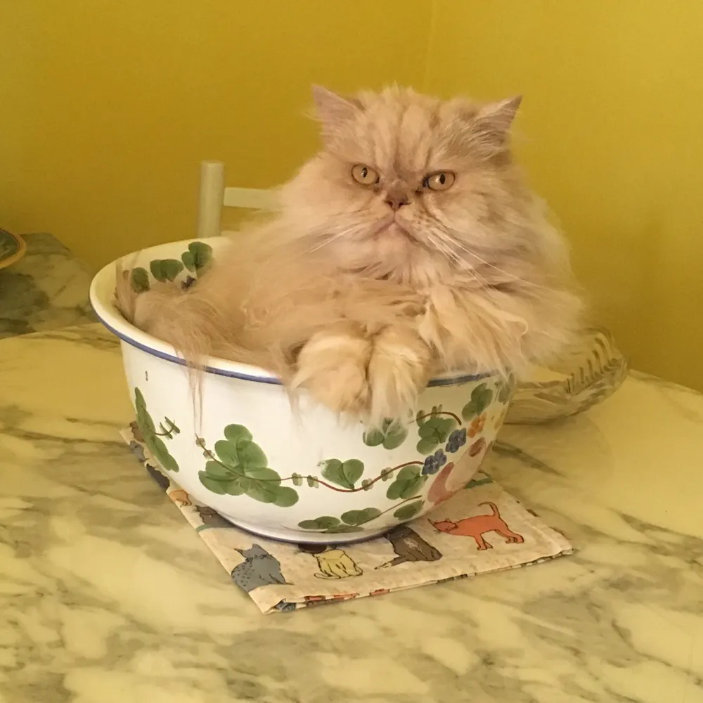 sharon1753.bsky.social's profile picture