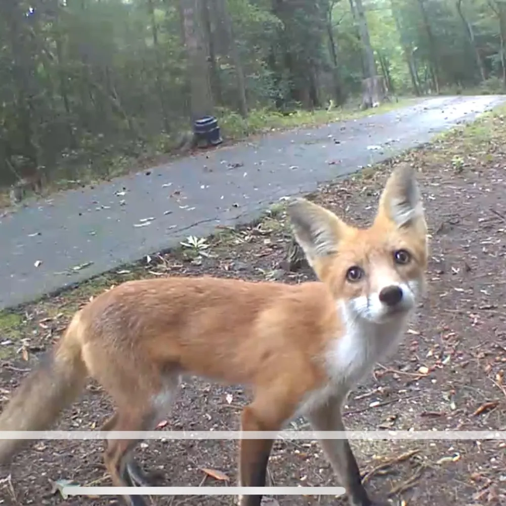 jmecc.bsky.social's profile picture