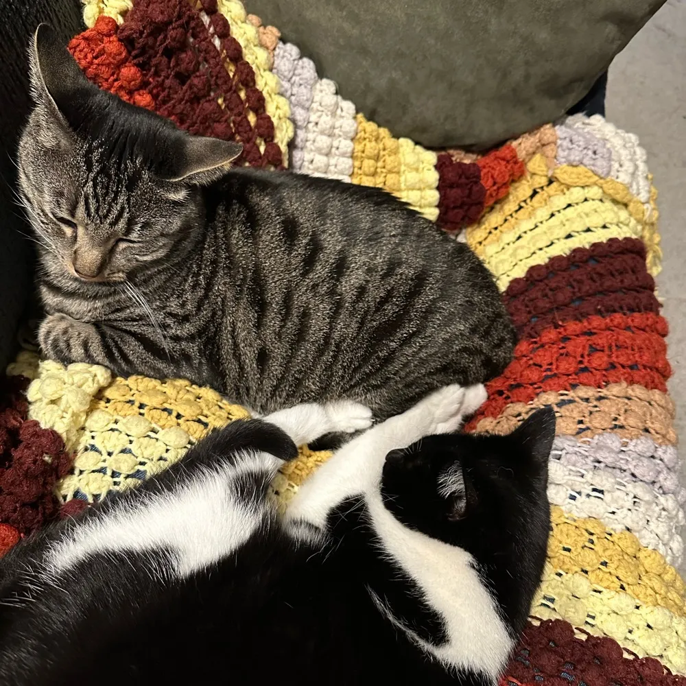 maryes.bsky.social's profile picture