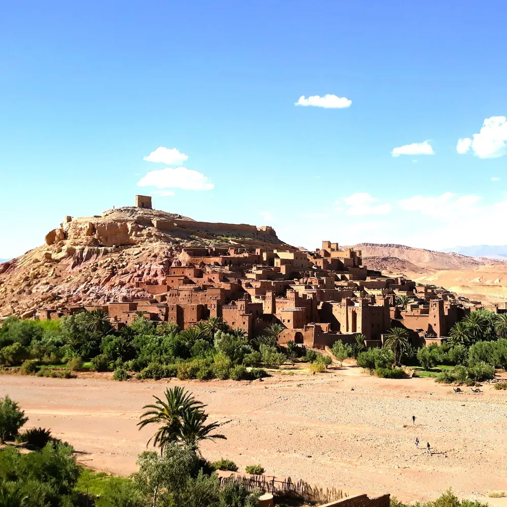 daughterofwitches.bsky.social's profile picture