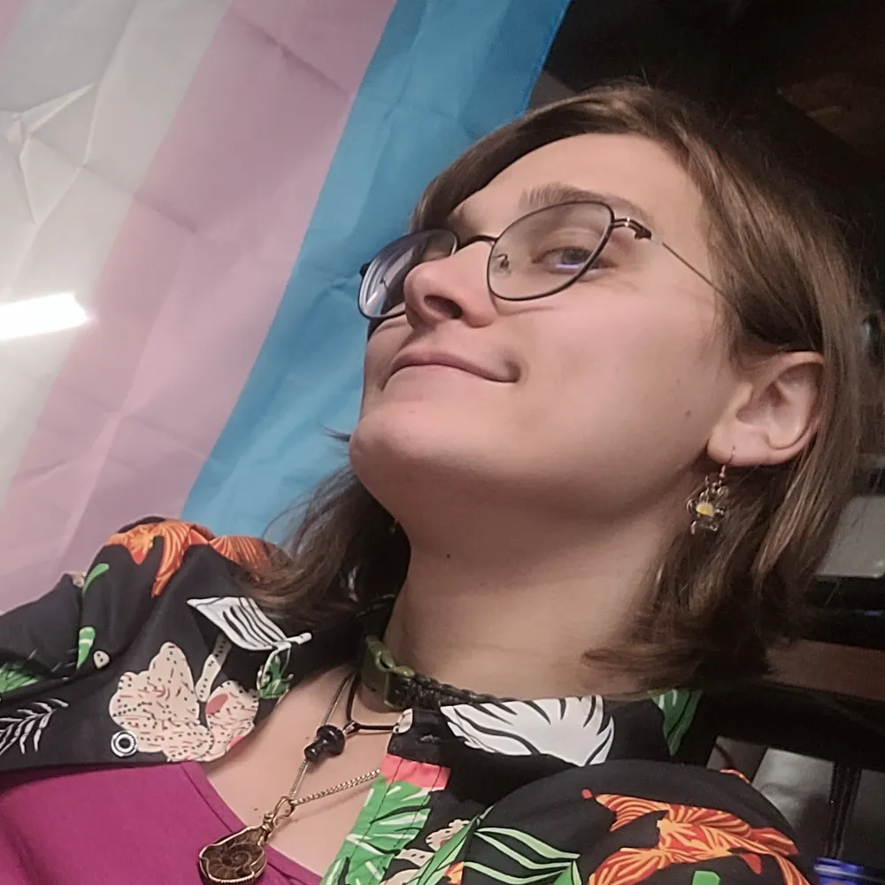 shrillceiling.bsky.social's profile picture