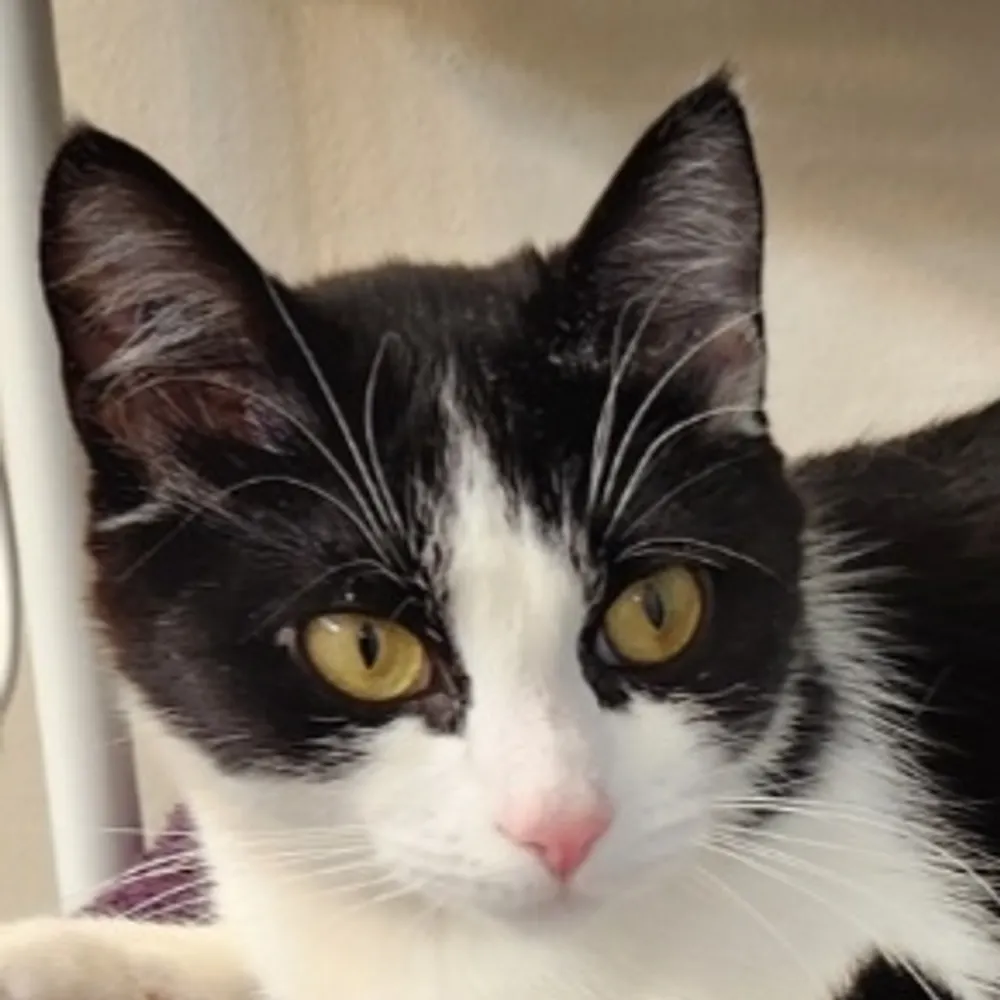 anita72.bsky.social's profile picture