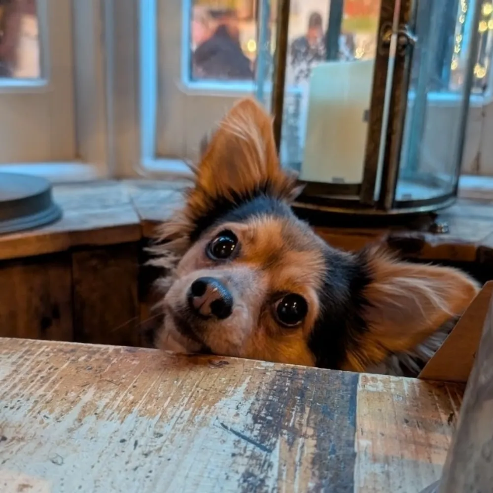 zatytom.bsky.social's profile picture