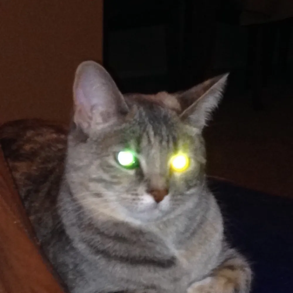 lruby.bsky.social's profile picture